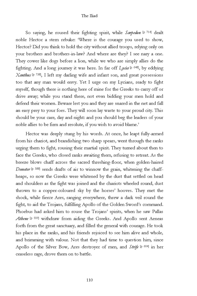 The Iliad - Page 104